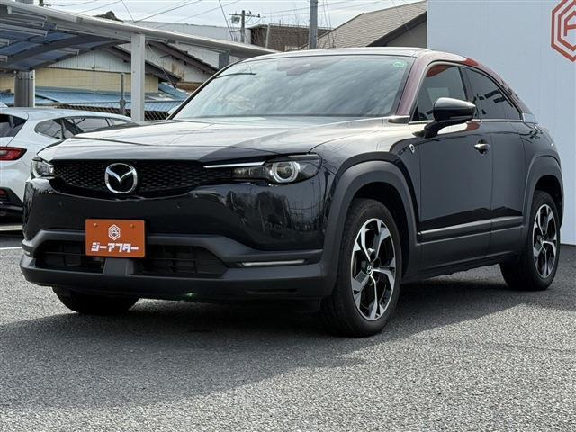 ���Ǝҗl�ւ̔̔��͂��f�肳���Ă��������܂��B �Ԍ������ԗ��̏ꍇ�́A�Ԍ����擾�������x�������z�ŕ\�����Ă���܂��B