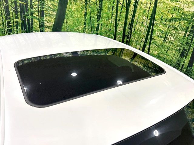 �y�T�����[�t�z�J���������Ղ�̊󏭑����A�T�����[�t����������Ă��܂�!�ԓ��ɖ�����������ꂽ��i�F���y���ވȊO�ɂ��A�ԓ��̋�C���ȒP�Ɋ��C�ł��ĉ��K�ł�!