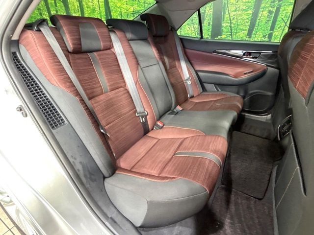 �㕔���Ȃ��C�ɂȂ�悤�ȃL�Y�E�����ւ��蓙�A�傫�ȃ_���[�W�͂Ȃ��A�ǍD�ȏ�Ԃł��B