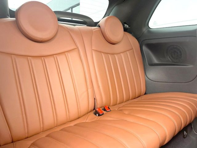 ���㕔���Ȃ��C�ɂȂ�悤�ȃL�Y�E�����ւ��蓙�A�傫�ȃ_���[�W�͂Ȃ��A�ǍD�ȏ�Ԃł��B