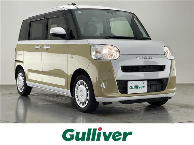 ムーヴキャンバスストライプス X