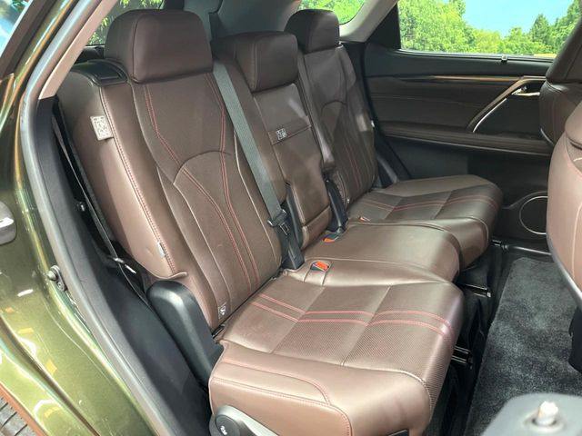 �㕔���Ȃ��C�ɂȂ�悤�ȃL�Y�E�����ւ��蓙�A�傫�ȃ_���[�W�͂Ȃ��A�ǍD�ȏ�Ԃł��B