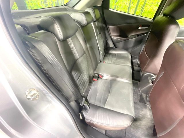 �㕔���Ȃ��C�ɂȂ�悤�ȃL�Y�E�����ւ��蓙�A�傫�ȃ_���[�W�͂Ȃ��A�ǍD�ȏ�Ԃł��B