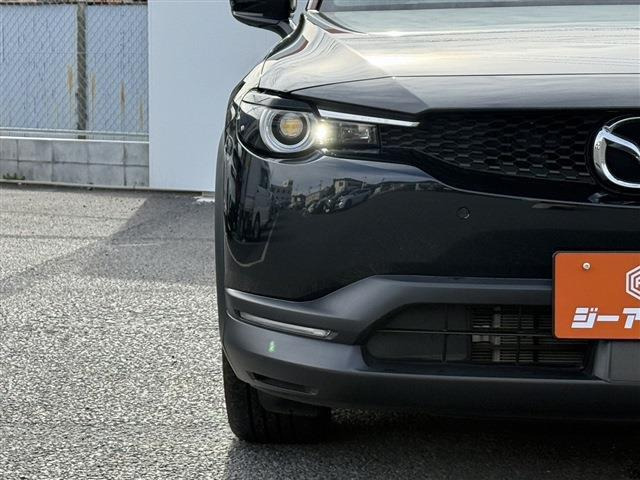 ���Ǝҗl�ւ̔̔��͂��f�肳���Ă��������܂��B �Ԍ������ԗ��̏ꍇ�́A�Ԍ����擾�������x�������z�ŕ\�����Ă���܂��B