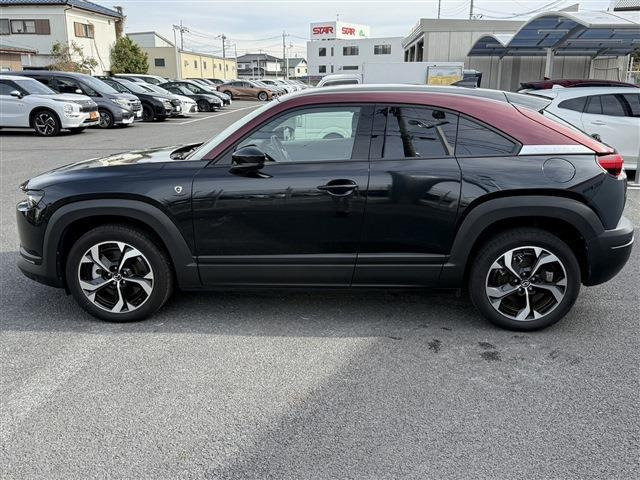 ���Ǝҗl�ւ̔̔��͂��f�肳���Ă��������܂��B �Ԍ������ԗ��̏ꍇ�́A�Ԍ����擾�������x�������z�ŕ\�����Ă���܂��B