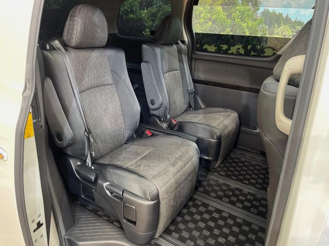 �㕔���Ȃ��C�ɂȂ�悤�ȃL�Y�E�����ւ��蓙�A�傫�ȃ_���[�W�͂Ȃ��A�ǍD�ȏ�Ԃł��B