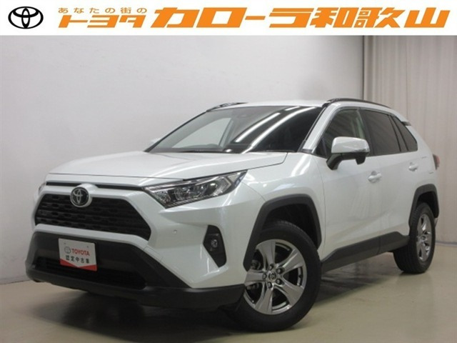 RAV42.0 X