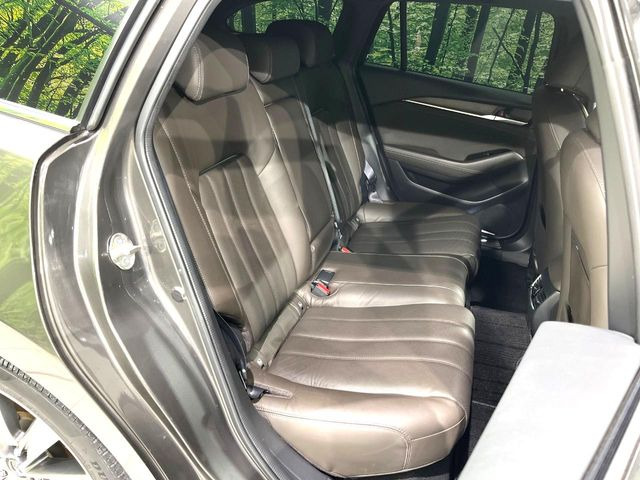 �㕔���Ȃ��C�ɂȂ�悤�ȃL�Y�E�����ւ��蓙�A�傫�ȃ_���[�W�͂Ȃ��A�ǍD�ȏ�Ԃł��B