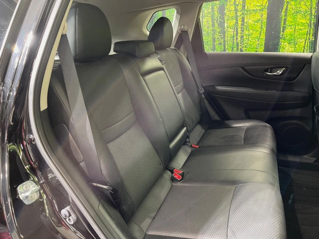 �㕔���Ȃ��C�ɂȂ�悤�ȃL�Y�E�����ւ��蓙�A�傫�ȃ_���[�W�͂Ȃ��A�ǍD�ȏ�Ԃł��B