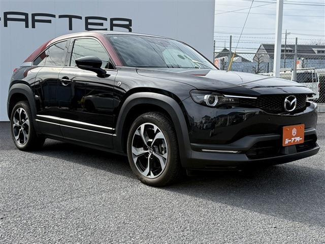 ���Ǝҗl�ւ̔̔��͂��f�肳���Ă��������܂��B �Ԍ������ԗ��̏ꍇ�́A�Ԍ����擾�������x�������z�ŕ\�����Ă���܂��B