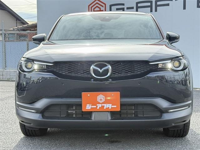 ���Ǝҗl�ւ̔̔��͂��f�肳���Ă��������܂��B �Ԍ������ԗ��̏ꍇ�́A�Ԍ����擾�������x�������z�ŕ\�����Ă���܂��B