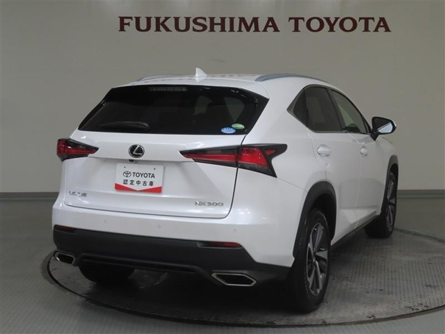 NX300 Iパッケージ 4WD