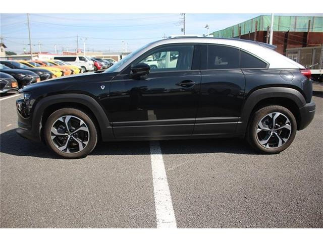 ���Ǝҗl�ւ̔̔��͂��f�肳���Ă��������܂��B �Ԍ������ԗ��̏ꍇ�́A�Ԍ����擾�������x�������z�ŕ\�����Ă���܂��B