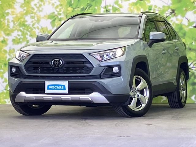 RAV42.0 アドベンチャー 4WD