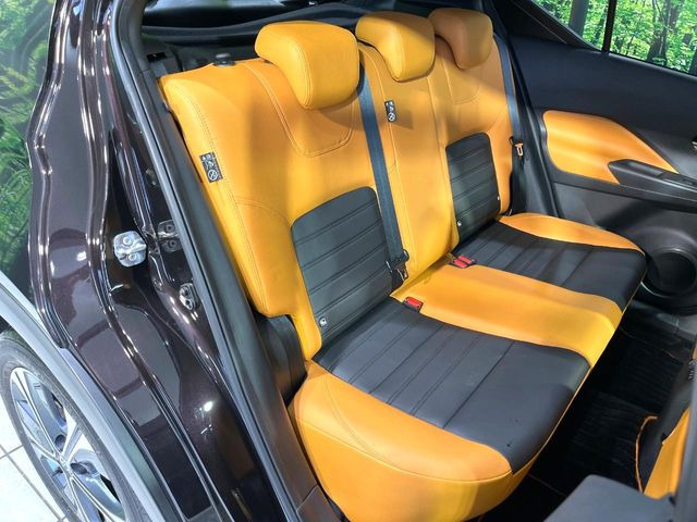 �㕔���Ȃ��C�ɂȂ�悤�ȃL�Y�E�����ւ��蓙�A�傫�ȃ_���[�W�͂Ȃ��A�ǍD�ȏ�Ԃł��B