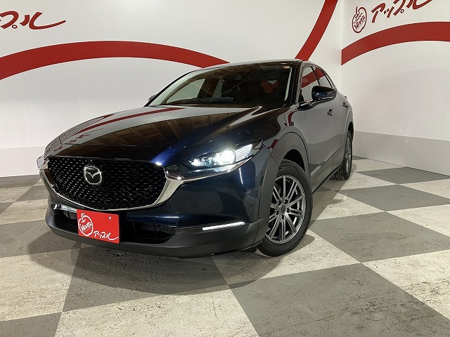 CX-301.8 XD プロアクティブ ツーリングセレクション 4WD