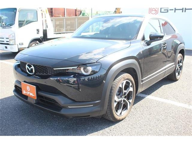 ���Ǝҗl�ւ̔̔��͂��f�肳���Ă��������܂��B �Ԍ������ԗ��̏ꍇ�́A�Ԍ����擾�������x�������z�ŕ\�����Ă���܂��B