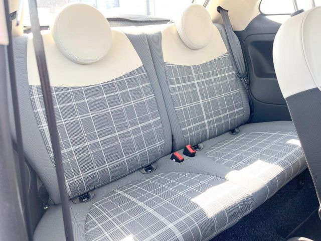 ���㕔���Ȃ��C�ɂȂ�悤�ȃL�Y�E�����ւ��蓙�A�傫�ȃ_���[�W�͂Ȃ��A�ǍD�ȏ�Ԃł��B