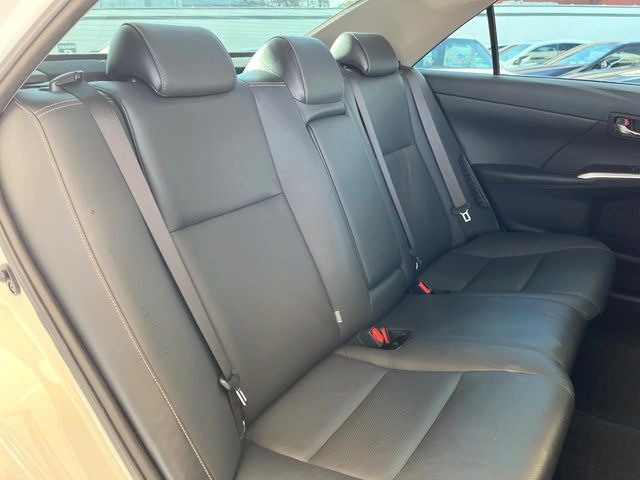 �㕔���Ȃ��C�ɂȂ�悤�ȃL�Y�E�����ւ��蓙�A�傫�ȃ_���[�W�͂Ȃ��A�ǍD�ȏ�Ԃł��B