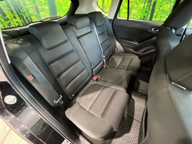 �㕔���Ȃ��C�ɂȂ�悤�ȃL�Y�E�����ւ��蓙�A�傫�ȃ_���[�W�͂Ȃ��A�ǍD�ȏ�Ԃł��B