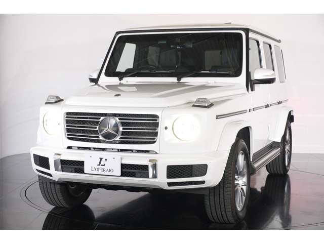 AMG���C�����I������Ă���܂��BG�N���X�ɂ�����K�{�I�v�V�����Ƃ�������I�v�V�����ł��B