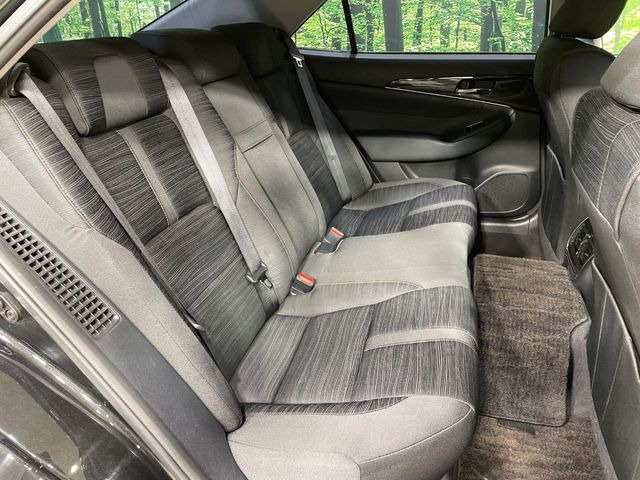 �㕔���Ȃ��C�ɂȂ�悤�ȃL�Y�E�����ւ��蓙�A�傫�ȃ_���[�W�͂Ȃ��A�ǍD�ȏ�Ԃł��B