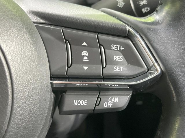 �y�}�c�_�E���[�_�[�N���[�Y�R���g���[���z�������H�ł̒��������s���y��!�����ő��x��ۂN���[�Y�R���g���[�����A�Փˌy���V�X�e���ƘA�g���A�O���̎ԗ������m���ĎԊԂ�ۂ悤�ɑ��x���߂��Ă���܂�!!