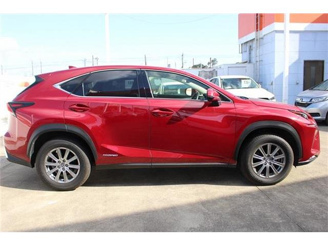 �̔��͂����X���������邨�q�l����ł��B���Ǝҗl�ւ̔̔��͂��f�肳���Ă��������܂��B�Ԍ������ԗ��̏ꍇ�́A�Ԍ����擾�������x�������z�ŕ\�����Ă���܂��B