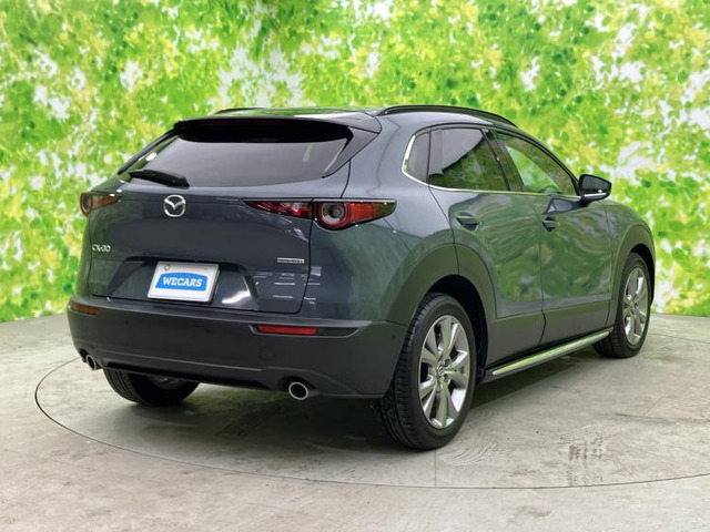 CX-301.8 XD Lパッケージ