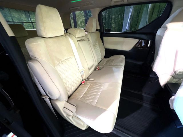 �㕔���Ȃ��C�ɂȂ�悤�ȃL�Y�E�����ւ��蓙�A�傫�ȃ_���[�W�͂Ȃ��A�ǍD�ȏ�Ԃł��B