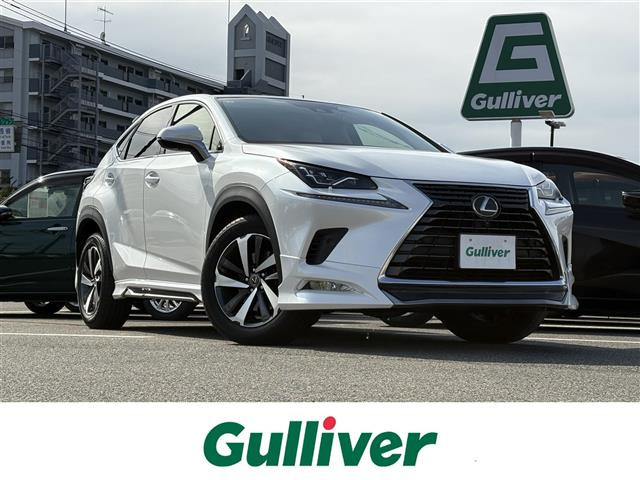 NX300 バージョンL