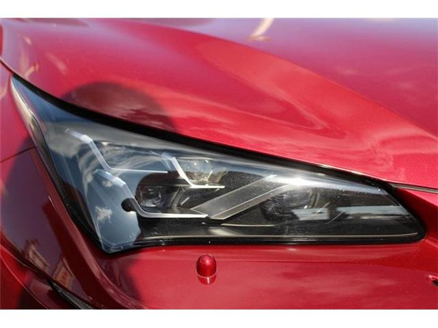 �̔��͂����X���������邨�q�l����ł��B���Ǝҗl�ւ̔̔��͂��f�肳���Ă��������܂��B�Ԍ������ԗ��̏ꍇ�́A�Ԍ����擾�������x�������z�ŕ\�����Ă���܂��B