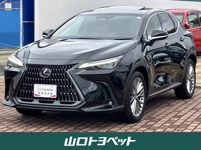 NX250 バージョンL