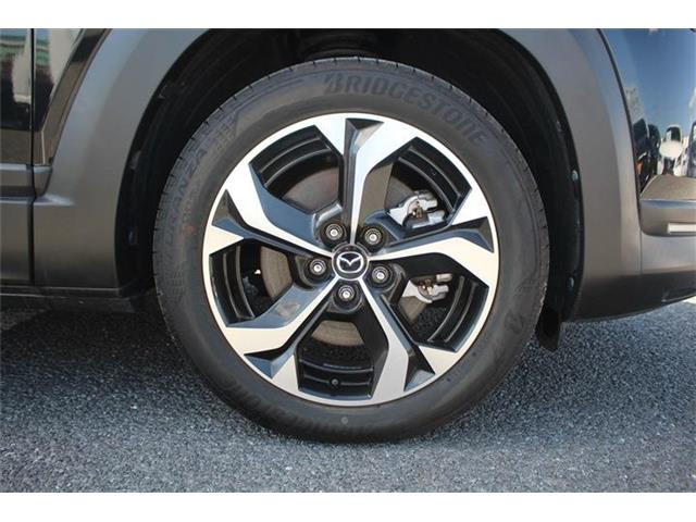 ���Ǝҗl�ւ̔̔��͂��f�肳���Ă��������܂��B �Ԍ������ԗ��̏ꍇ�́A�Ԍ����擾�������x�������z�ŕ\�����Ă���܂��B