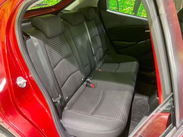 �㕔���Ȃ��C�ɂȂ�悤�ȃL�Y�E�����ւ��蓙�A�傫�ȃ_���[�W�͂Ȃ��A�ǍD�ȏ�Ԃł��B