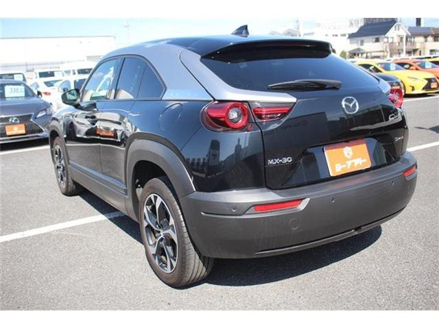 ���Ǝҗl�ւ̔̔��͂��f�肳���Ă��������܂��B �Ԍ������ԗ��̏ꍇ�́A�Ԍ����擾�������x�������z�ŕ\�����Ă���܂��B