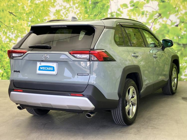 RAV42.0 アドベンチャー 4WD