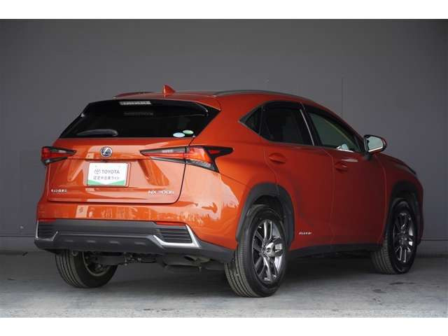 NX300h バージョンL 4WD