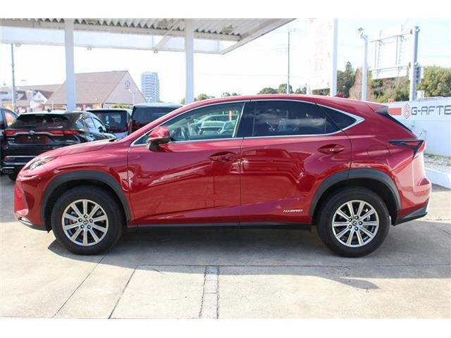 �̔��͂����X���������邨�q�l����ł��B���Ǝҗl�ւ̔̔��͂��f�肳���Ă��������܂��B�Ԍ������ԗ��̏ꍇ�́A�Ԍ����擾�������x�������z�ŕ\�����Ă���܂��B