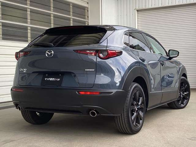 CX-302.0 20S レトロスポーツエディション 4WD
