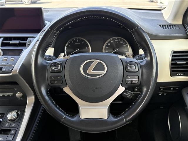 NX300 バージョンL