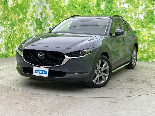 CX-301.8 XD Lパッケージ