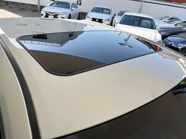 �y�T�����[�t�z�J���������Ղ�̊󏭑����A�T�����[�t����������Ă��܂�!�ԓ��ɖ�����������ꂽ��i�F���y���ވȊO�ɂ��A�ԓ��̋�C���ȒP�Ɋ��C�ł��ĉ��K�ł�!