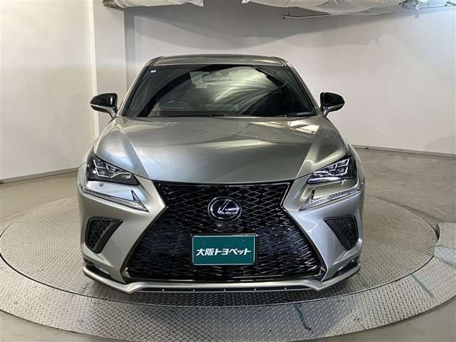 NX300h Fスポーツ