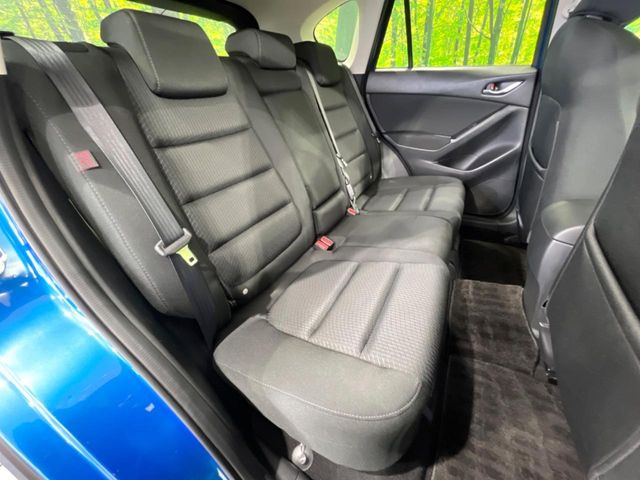 �㕔���Ȃ��C�ɂȂ�悤�ȃL�Y�E�����ւ��蓙�A�傫�ȃ_���[�W�͂Ȃ��A�ǍD�ȏ�Ԃł��B