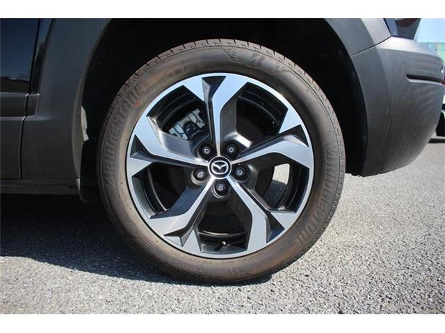 ���Ǝҗl�ւ̔̔��͂��f�肳���Ă��������܂��B �Ԍ������ԗ��̏ꍇ�́A�Ԍ����擾�������x�������z�ŕ\�����Ă���܂��B