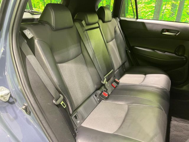 �㕔���Ȃ��C�ɂȂ�悤�ȃL�Y�E�����ւ��蓙�A�傫�ȃ_���[�W�͂Ȃ��A�ǍD�ȏ�Ԃł��B