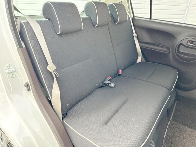 �㕔���Ȃ��C�ɂȂ�悤�ȃL�Y�E�����ւ��蓙�A�傫�ȃ_���[�W�͂Ȃ��A�ǍD�ȏ�Ԃł��B