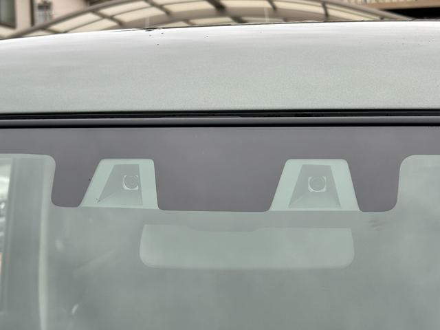 ハスラータフワイルド