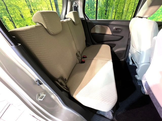 �㕔���Ȃ��C�ɂȂ�悤�ȃL�Y�E�����ւ��蓙�A�傫�ȃ_���[�W�͂Ȃ��A�ǍD�ȏ�Ԃł��B